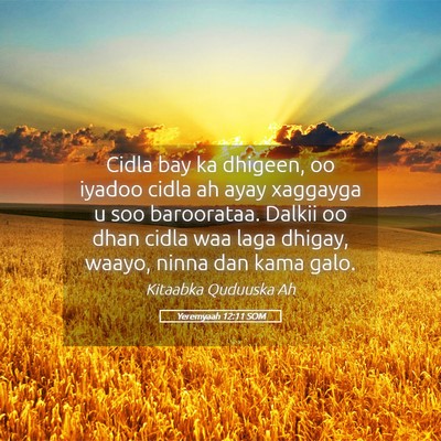 Picture 05 - Yeremyaah 12:11 SOM - Cidla bay ka dhigeen, oo iyadoo cidla ah ayay - Bible Verse Picture