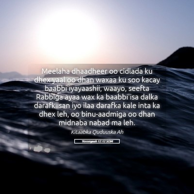 Picture 05 - Yeremyaah 12:12 SOM - Meelaha dhaadheer oo cidlada ku dhex yaal oo dhan - Bible Verse Picture