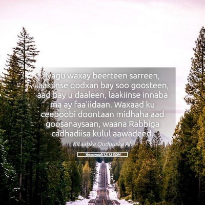 Picture 05 - Yeremyaah 12:13 SOM - Iyagu waxay beerteen sarreen, laakiinse qodxan - Bible Verse Picture