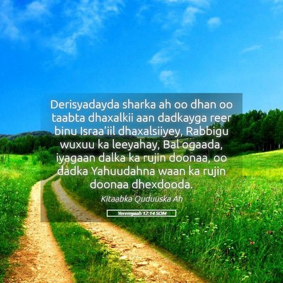 Picture 05 - Yeremyaah 12:14 SOM - Derisyadayda sharka ah oo dhan oo taabta - Bible Verse Picture