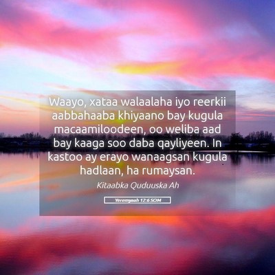 Picture 05 - Yeremyaah 12:6 SOM - Waayo, xataa walaalaha iyo reerkii aabbahaaba - Bible Verse Picture