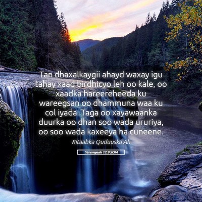 Picture 05 - Yeremyaah 12:9 SOM - Tan dhaxalkaygii ahayd waxay igu tahay xaad - Bible Verse Picture