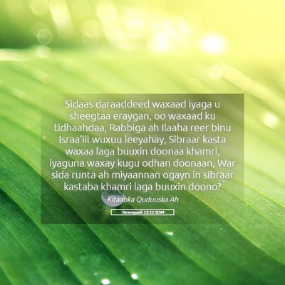 Picture 05 - Yeremyaah 13:12 SOM - Sidaas daraaddeed waxaad iyaga u sheegtaa - Bible Verse Picture