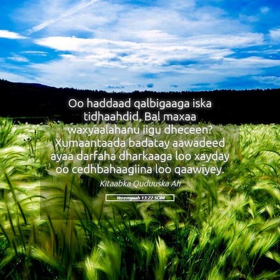 Picture 05 - Yeremyaah 13:22 SOM - Oo haddaad qalbigaaga iska tidhaahdid, Bal maxaa - Bible Verse Picture