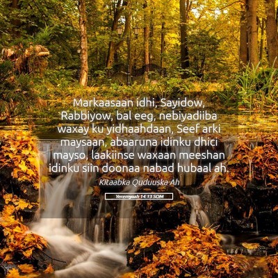 Picture 05 - Yeremyaah 14:13 SOM - Markaasaan idhi, Sayidow, Rabbiyow, bal eeg, - Bible Verse Picture
