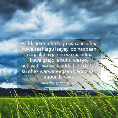 Picture 05 - Yeremyaah 14:18 SOM - Haddaan duurka tago waxaan arkaa kuwa seef lagu - Bible Verse Picture