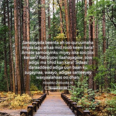 Picture 05 - Yeremyaah 14:22 SOM - Sanamyada beenta ah oo quruumaha miyaa lagu arkaa - Bible Verse Picture