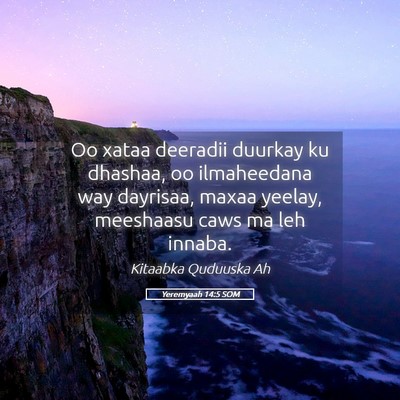 Picture 05 - Yeremyaah 14:5 SOM - Oo xataa deeradii duurkay ku dhashaa, oo - Bible Verse Picture