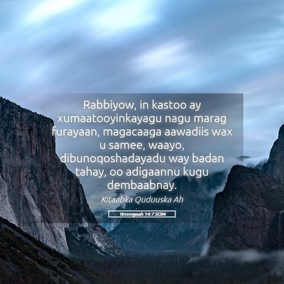 Picture 05 - Yeremyaah 14:7 SOM - Rabbiyow, in kastoo ay xumaatooyinkayagu nagu - Bible Verse Picture