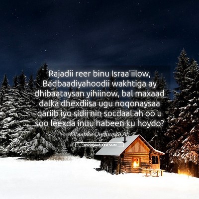 Picture 05 - Yeremyaah 14:8 SOM - Rajadii reer binu Israa'iilow, Badbaadiyahoodii - Bible Verse Picture