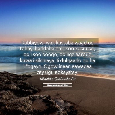 Picture 05 - Yeremyaah 15:15 SOM - Rabbiyow, wax kastaba waad og tahay, haddaba bal - Bible Verse Picture