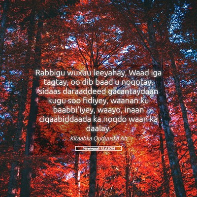 Picture 05 - Yeremyaah 15:6 SOM - Rabbigu wuxuu leeyahay, Waad iga tagtay, oo dib - Bible Verse Picture