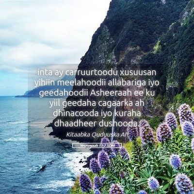 Picture 05 - Yeremyaah 17:2 SOM - inta ay carruurtoodu xusuusan yihiin meelahoodii - Bible Verse Picture