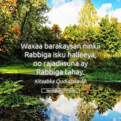 Picture 05 - Yeremyaah 17:7 SOM - Waxaa barakaysan ninkii Rabbiga isku halleeya, oo - Bible Verse Picture