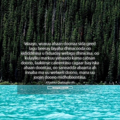 Picture 05 - Yeremyaah 17:8 SOM - Waayo, wuxuu ahaan doonaa sida geed lagu beeray - Bible Verse Picture