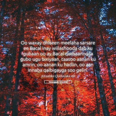 Picture 05 - Yeremyaah 19:5 SOM - Oo waxay dhiseen meelaha sarsare ee Bacal inay - Bible Verse Picture
