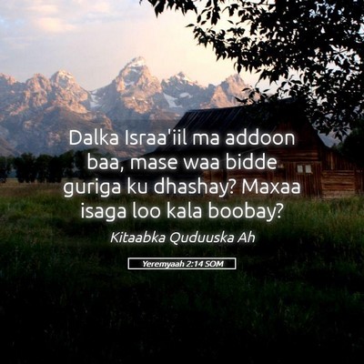 Picture 05 - Yeremyaah 2:14 SOM - Dalka Israa'iil ma addoon baa, mase waa bidde - Bible Verse Picture