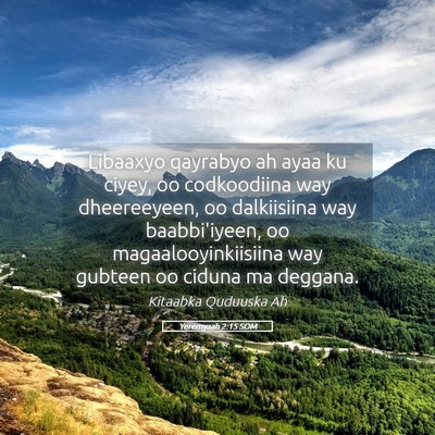 Picture 05 - Yeremyaah 2:15 SOM - Libaaxyo qayrabyo ah ayaa ku ciyey, oo - Bible Verse Picture