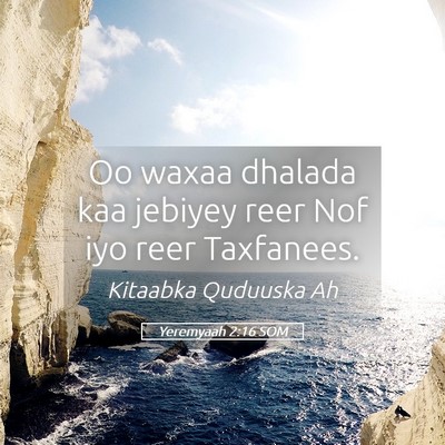 Picture 05 - Yeremyaah 2:16 SOM - Oo waxaa dhalada kaa jebiyey reer Nof iyo reer - Bible Verse Picture