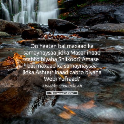 Picture 05 - Yeremyaah 2:18 SOM - Oo haatan bal maxaad ka samaynaysaa jidka Masar - Bible Verse Picture
