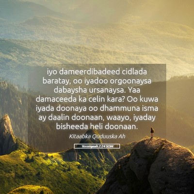 Picture 05 - Yeremyaah 2:24 SOM - iyo dameerdibadeed cidlada baratay, oo iyadoo - Bible Verse Picture