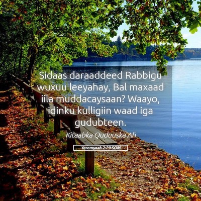 Picture 05 - Yeremyaah 2:29 SOM - Sidaas daraaddeed Rabbigu wuxuu leeyahay, Bal - Bible Verse Picture