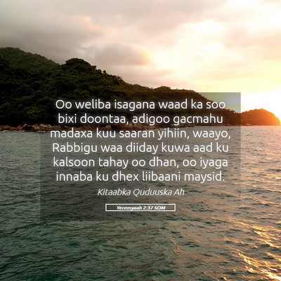 Picture 05 - Yeremyaah 2:37 SOM - Oo weliba isagana waad ka soo bixi doontaa, - Bible Verse Picture