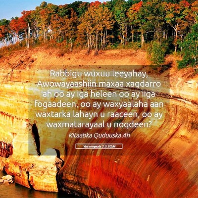 Picture 05 - Yeremyaah 2:5 SOM - Rabbigu wuxuu leeyahay, Awowayaashiin maxaa - Bible Verse Picture