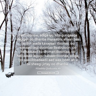 Picture 05 - Yeremyaah 20:6 SOM - Fashxuurow, adiga iyo inta gurigaaga deggan oo - Bible Verse Picture
