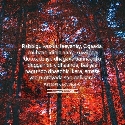 Picture 05 - Yeremyaah 21:13 SOM - Rabbigu wuxuu leeyahay, Ogaada, col baan idinla - Bible Verse Picture