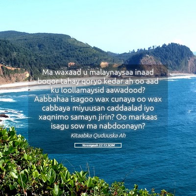 Picture 05 - Yeremyaah 22:15 SOM - Ma waxaad u malaynaysaa inaad boqor tahay qoryo - Bible Verse Picture