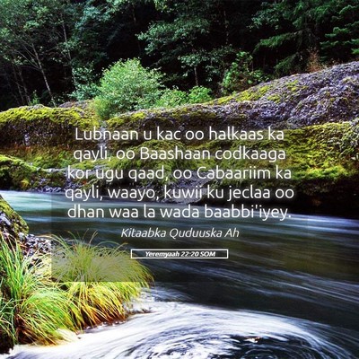 Picture 05 - Yeremyaah 22:20 SOM - Lubnaan u kac oo halkaas ka qayli, oo Baashaan - Bible Verse Picture