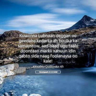 Picture 05 - Yeremyaah 22:23 SOM - Kuwiinna Lubnaan deggan oo geedaha kedarka ah - Bible Verse Picture