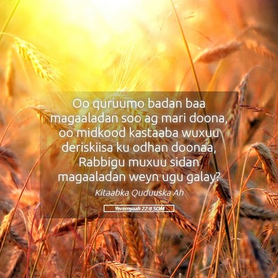Picture 05 - Yeremyaah 22:8 SOM - Oo quruumo badan baa magaaladan soo ag mari - Bible Verse Picture
