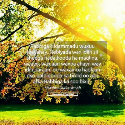 Picture 05 - Yeremyaah 23:16 SOM - Rabbiga ciidammadu wuxuu leeyahay, Nebiyada wax - Bible Verse Picture