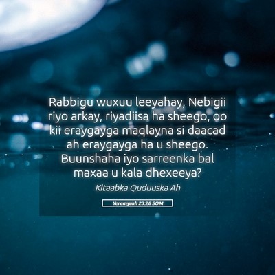 Picture 05 - Yeremyaah 23:28 SOM - Rabbigu wuxuu leeyahay, Nebigii riyo arkay, - Bible Verse Picture