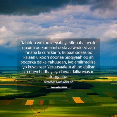 Picture 05 - Yeremyaah 24:8 SOM - Rabbigu wuxuu leeyahay, Midhaha berde oo xun oo - Bible Verse Picture