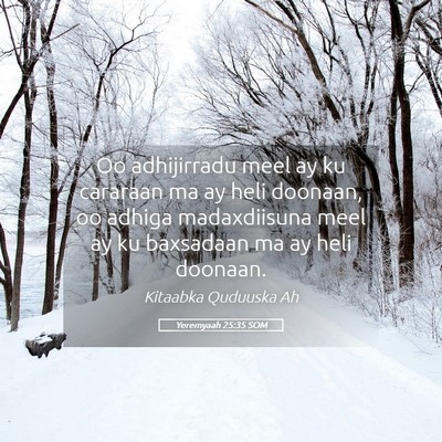 Picture 05 - Yeremyaah 25:35 SOM - Oo adhijirradu meel ay ku cararaan ma ay heli - Bible Verse Picture