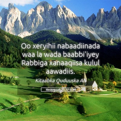 Picture 05 - Yeremyaah 25:37 SOM - Oo xeryihii nabaadiinada waa la wada baabbi'iyey - Bible Verse Picture