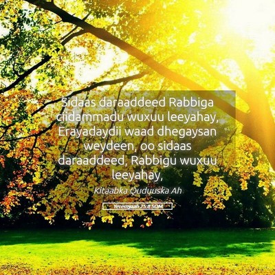 Picture 05 - Yeremyaah 25:8 SOM - Sidaas daraaddeed Rabbiga ciidammadu wuxuu - Bible Verse Picture