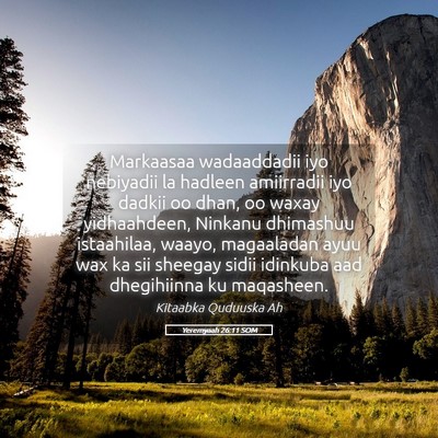 Picture 05 - Yeremyaah 26:11 SOM - Markaasaa wadaaddadii iyo nebiyadii la hadleen - Bible Verse Picture
