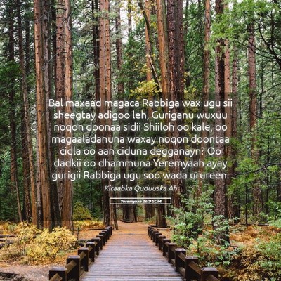 Picture 05 - Yeremyaah 26:9 SOM - Bal maxaad magaca Rabbiga wax ugu sii sheegtay - Bible Verse Picture
