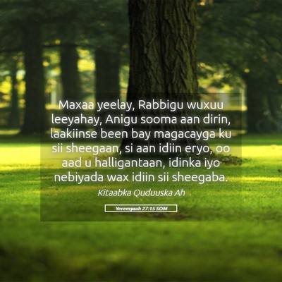 Picture 05 - Yeremyaah 27:15 SOM - Maxaa yeelay, Rabbigu wuxuu leeyahay, Anigu sooma - Bible Verse Picture