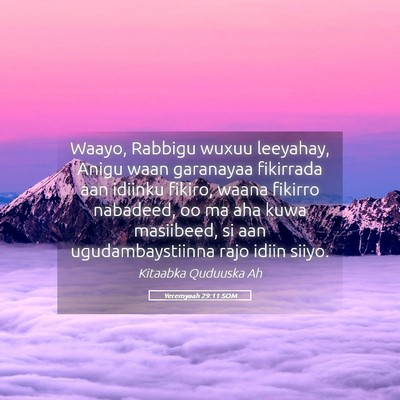 Picture 05 - Yeremyaah 29:11 SOM - Waayo, Rabbigu wuxuu leeyahay, Anigu waan - Bible Verse Picture
