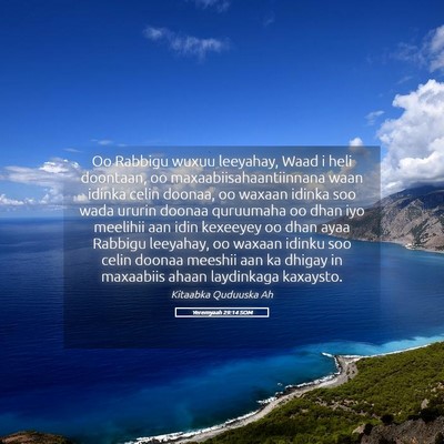 Picture 05 - Yeremyaah 29:14 SOM - Oo Rabbigu wuxuu leeyahay, Waad i heli doontaan, - Bible Verse Picture