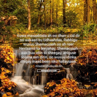 Picture 05 - Yeremyaah 29:31 SOM - Kuwa maxaabiista ah oo dhan u cid dir oo waxaad - Bible Verse Picture