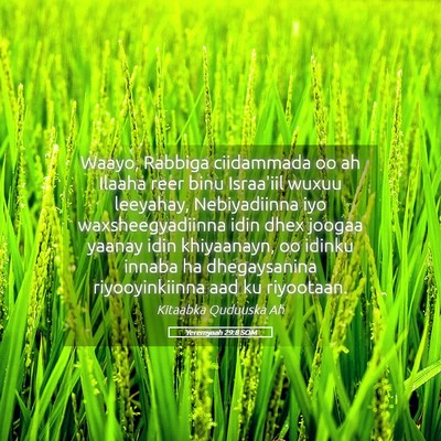 Picture 05 - Yeremyaah 29:8 SOM - Waayo, Rabbiga ciidammada oo ah Ilaaha reer binu - Bible Verse Picture