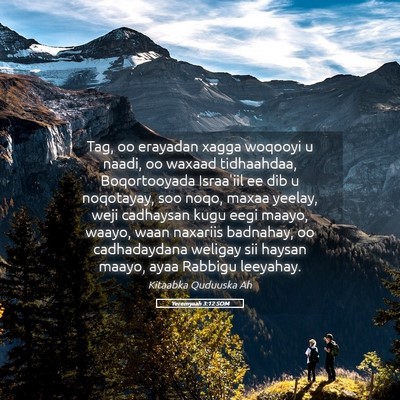 Picture 05 - Yeremyaah 3:12 SOM - Tag, oo erayadan xagga woqooyi u naadi, oo waxaad - Bible Verse Picture