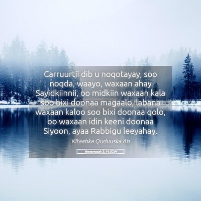 Picture 05 - Yeremyaah 3:14 SOM - Carruurtii dib u noqotayay, soo noqda, waayo, - Bible Verse Picture