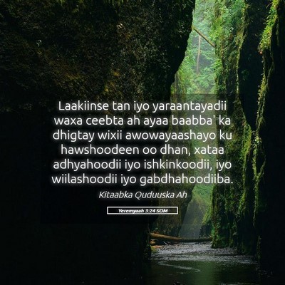 Picture 05 - Yeremyaah 3:24 SOM - Laakiinse tan iyo yaraantayadii waxa ceebta ah - Bible Verse Picture